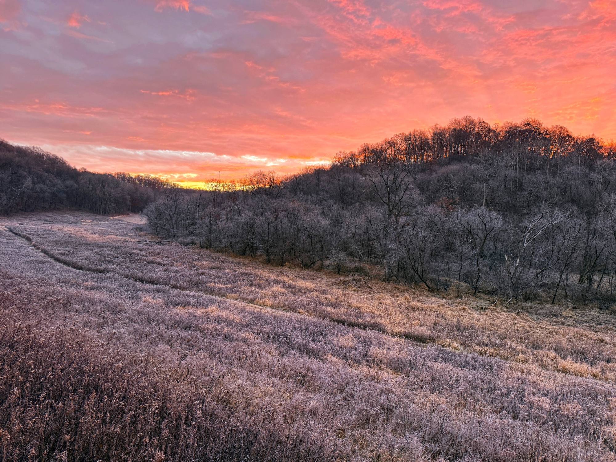 Frost on a valley meadow at sunrise, wooded ridges on either side